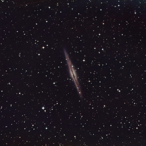 NGC891