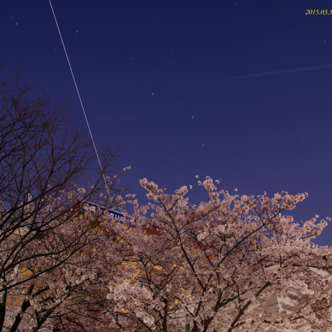 早朝の空に桜とISS