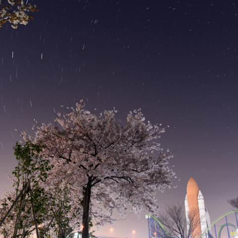 桜とスペースシャトルと北の空