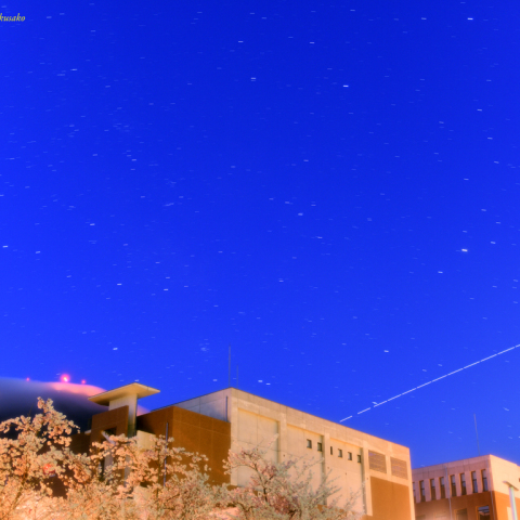 桜と皿倉山とISS