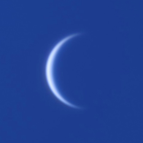 内合16日後・早朝の金星（視直径51″）