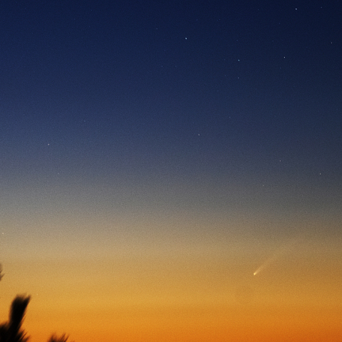 9月26日紫金山・アトラス彗星