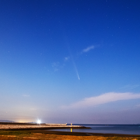 10月16日紫金山・アトラス彗星