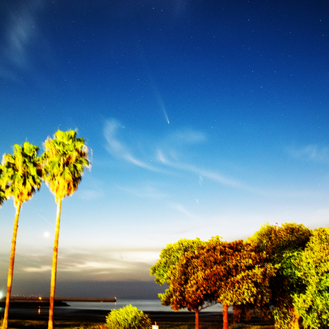 10月18日紫金山・アトラス彗星