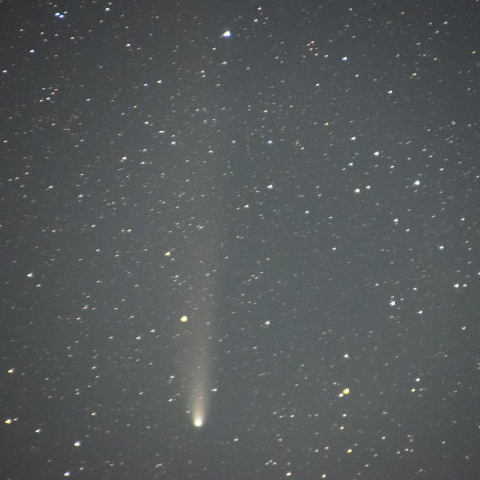 10月30日紫金山・アトラス彗星