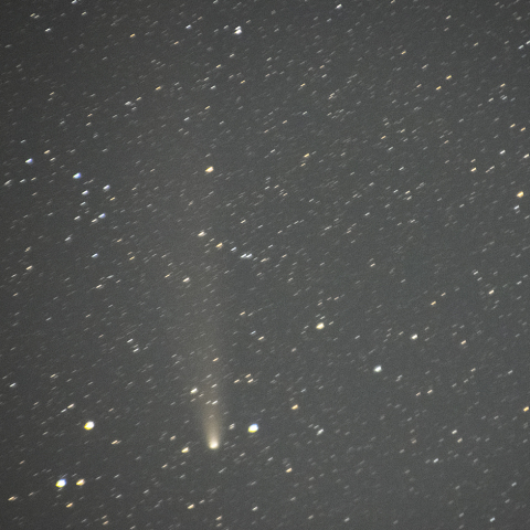 11月3日紫金山・アトラス彗星