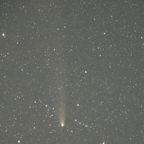 11月4日紫金山・アトラス彗星