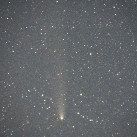 11月4日紫金山・アトラス彗星