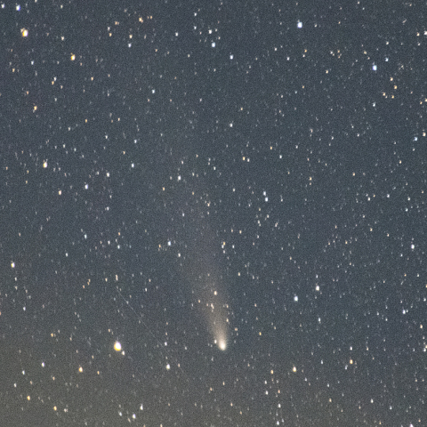 11月6日紫金山・アトラス彗星
