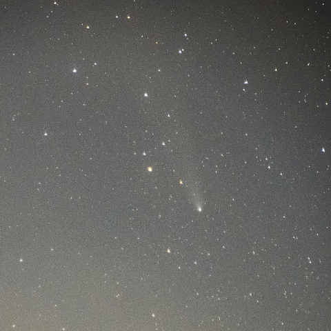 11月8日紫金山・アトラス彗星