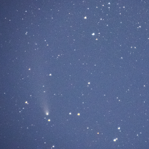 11月11日紫金山・アトラス彗星