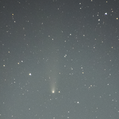 11月12日紫金山・アトラス彗星