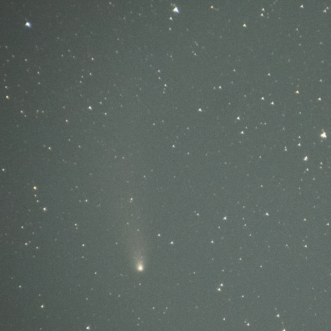 11月13日紫金山・アトラス彗星