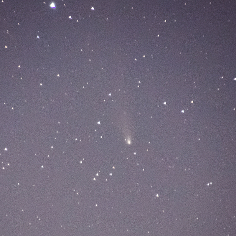 11月20日紫金山・アトラス彗星