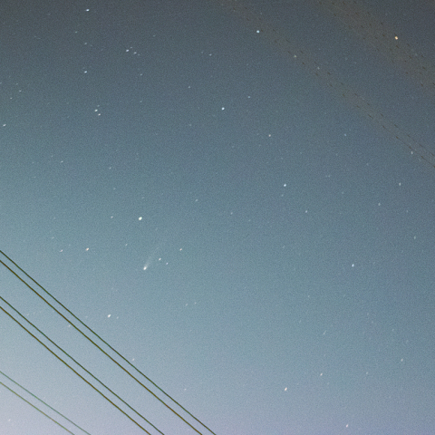 11月1日レモン彗星