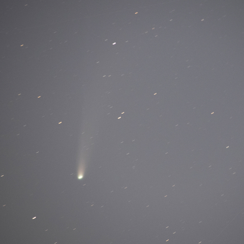 11月3日レモン彗星