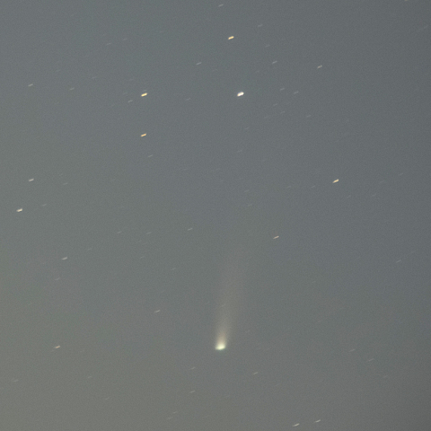 11月6日レモン彗星