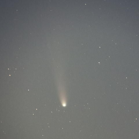 11月7日レモン彗星