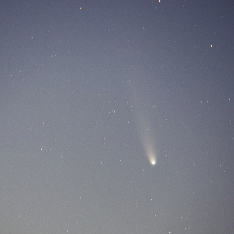 11月10日レモン彗星