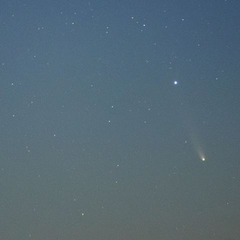 11月14日レモン彗星