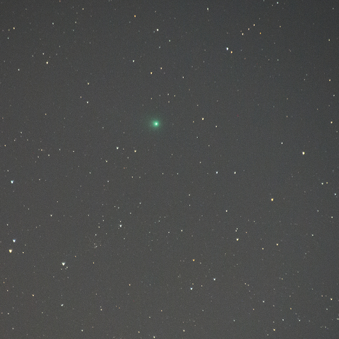 3月26日朝方のラブジョイ彗星