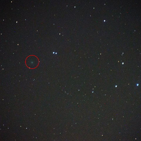 5月11日のラヴジョイ彗星 (C/2014 Q2)