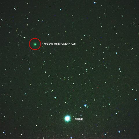 5月30日北極星に接近中のラヴジョイ彗星