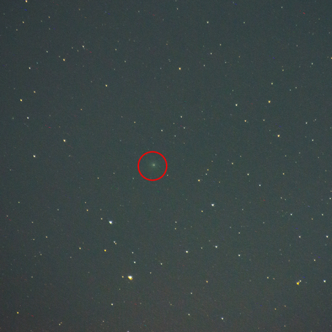 6月5日のラヴジョイ彗星 (C/2014 Q2)