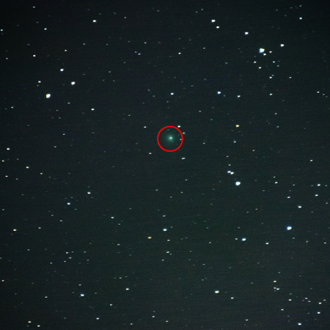 6月10日のラヴジョイ彗星 (C/2014 Q2)