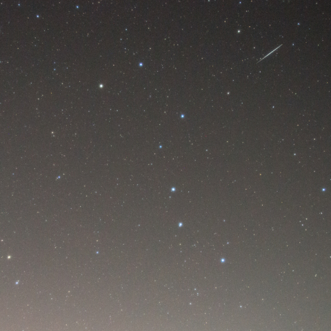 しし座流星群と北斗七星