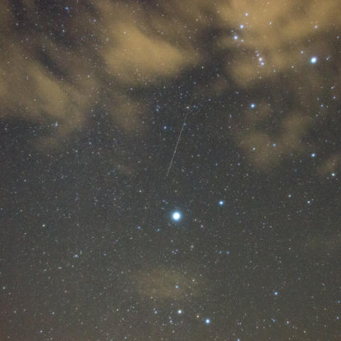 おうし座流星群