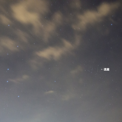 しし座流星群と北斗七星