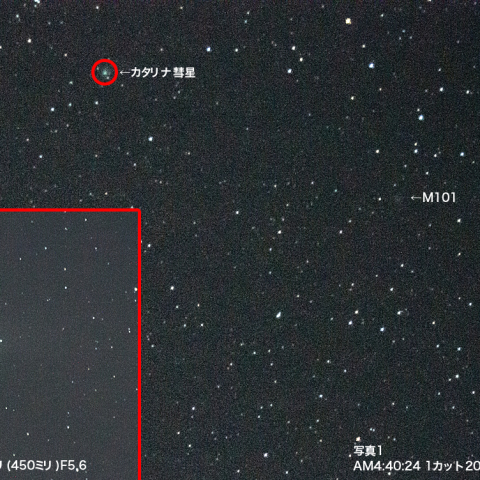 1月19日カタリナ彗星
