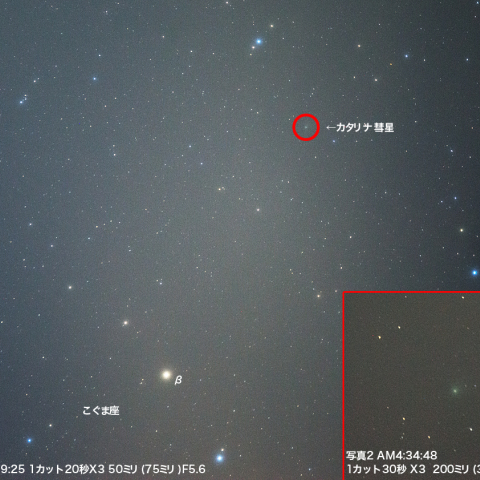 1月23日カタリナ彗星