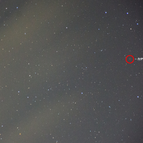2月10日カタリナ彗星