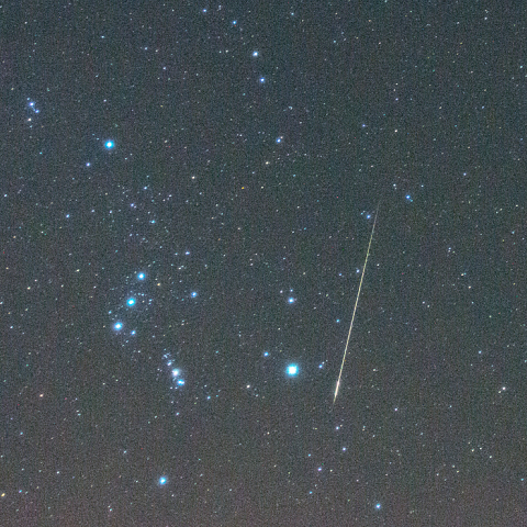 11月2日火球おうし座南流星群