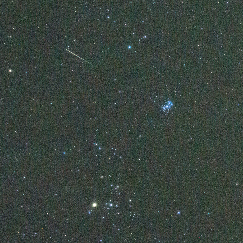 11月5日おうし座南流星群