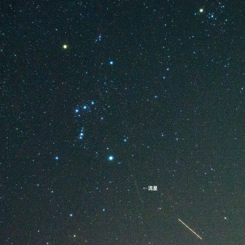 11月7日オリオン座流星群