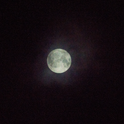 11月14日スーパームーン