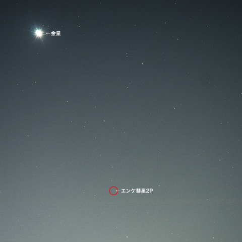 2月21日金星とエンケ彗星