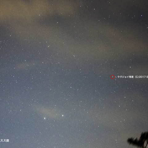 4月6日のラヴジョイ彗星(C/2017 E4)