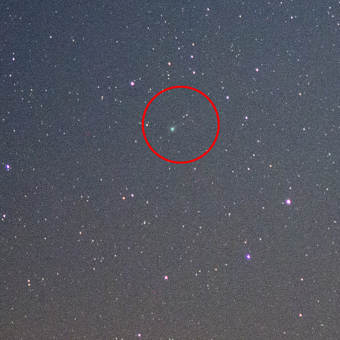 4月23日パンスターズ彗星（C/2015 ER61）