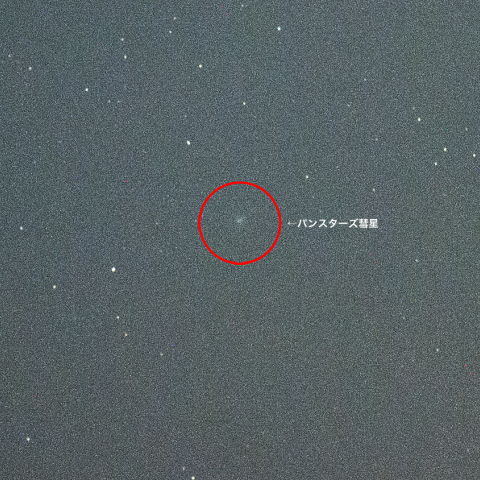 4月29日パンスターズ彗星（C/2015 ER61）