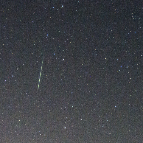 11月17日おうし座流星群