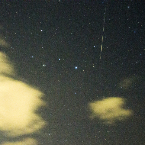 11月21日おうし座流星群