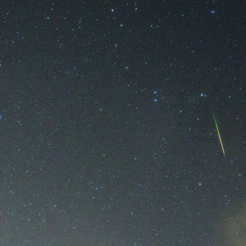 11月21日しし座流星群
