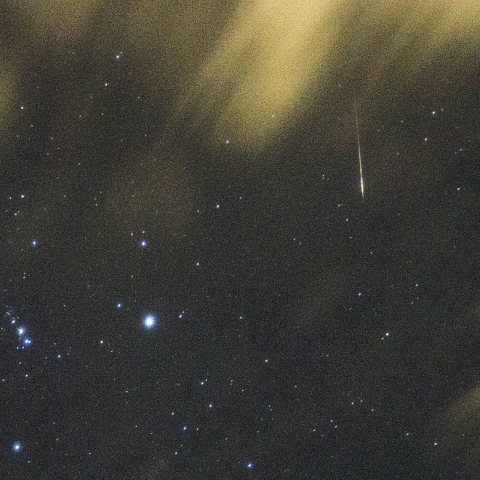 11月23日おうし座流星群