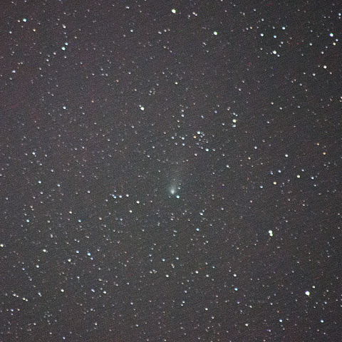 9月19日 ジャコビニ-チンナー彗星 (21P)