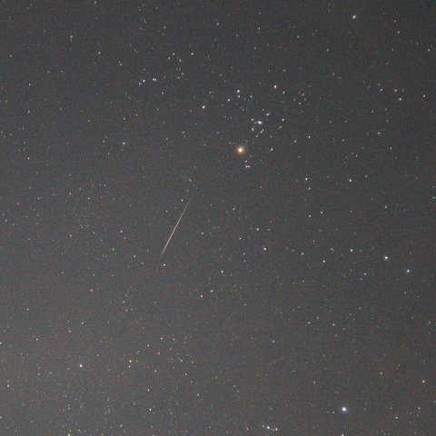 11月7日おうし座流星群