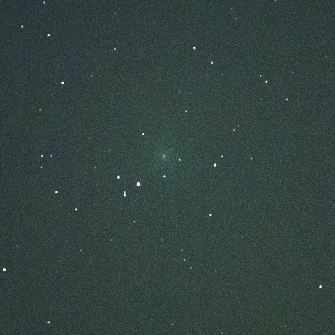 11月11日ウィルタネン彗星 (46P)